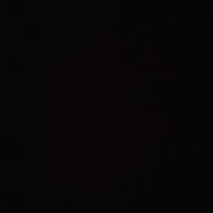 Meet your Posher, Abigail